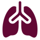 lung.png