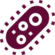 microorganism.png