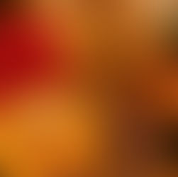 🌸 Creative Collaborations with Flowers by Laura