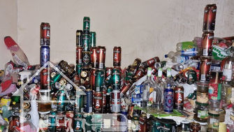 SYLOGOMANIE, DIOGÈNE ET KORSAKOFF : QUELLE DIFFÉRENCE ?