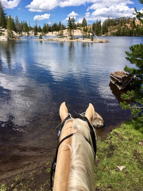 Sierra Mountains riding!