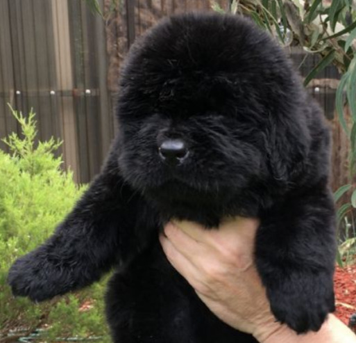 Screen Shot 2020-11-17 at 3.26_edited.jpg