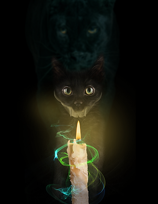 cat poster new.png
