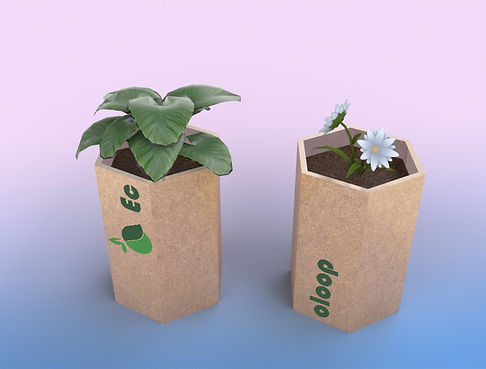with plant 1.jpg
