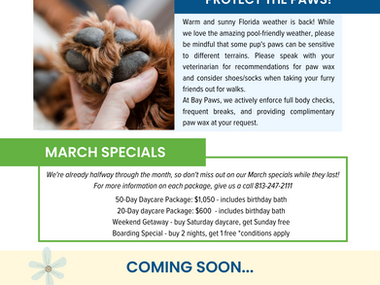 Ybor City Newsletter - March 2023