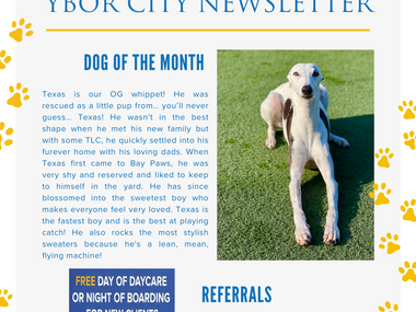 Ybor City Newsletter - April 2023