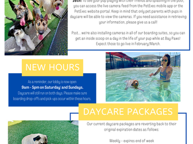 Ybor City Newsletter - January 2023