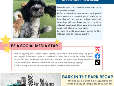 Ybor City Newsletter - February 2023