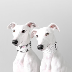 Hound-squad-biothane-collar-custom-illustration-of-your-dog-personalized-vegan-leather2.jp