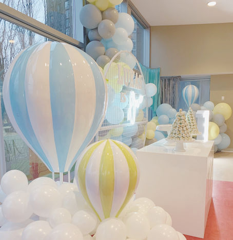 Up Up & Away First Birthday!
