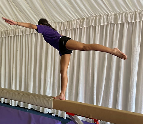 Arabesque website photo_edited_edited.jp