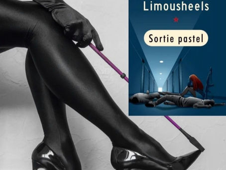 Chronique de Sortie Pastel De Limousheels