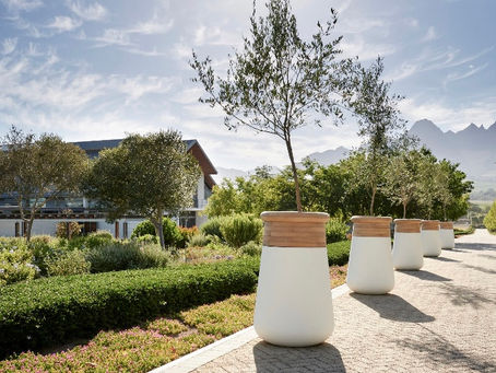 Luxury Planters & Pods