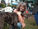 Dog Days