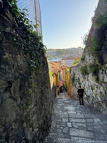 IMG_6231.jpeg