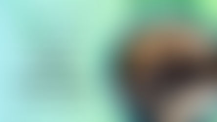 LittleLit vs Power Homeschool: Which AI Curriculum Wins in 2026?