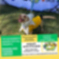doggy.jpg