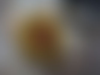 Indulgent Dark Chocolate Pistachio Tart. The perfect vegan treat to share with friends and family