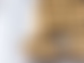 Pumpkin Spice Frosted Brownies