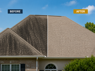 Why Are Black Streaks Appearing on Your Roof?