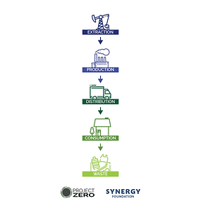 Linear economy model
