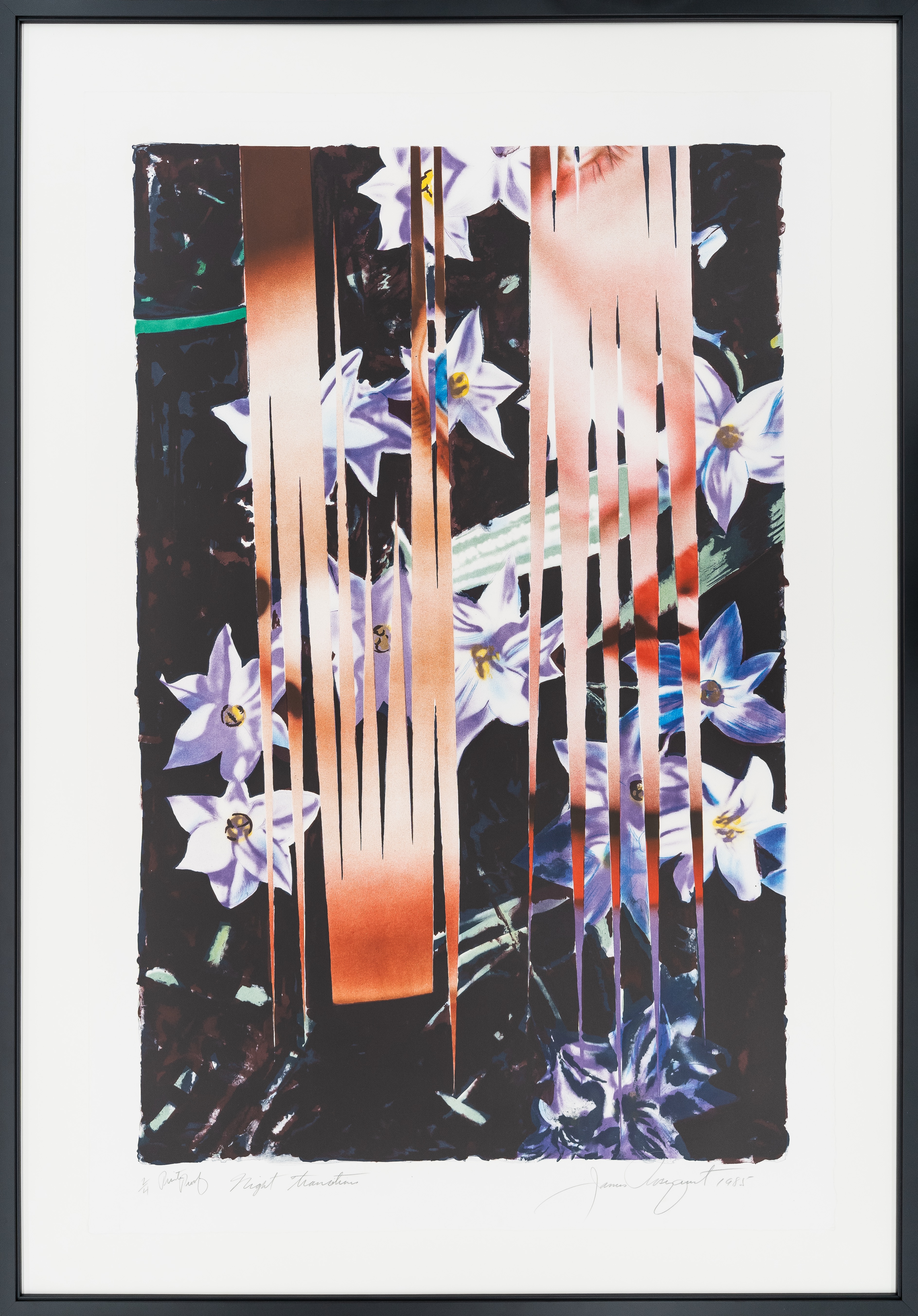 Rosenquist "Night Transitions"