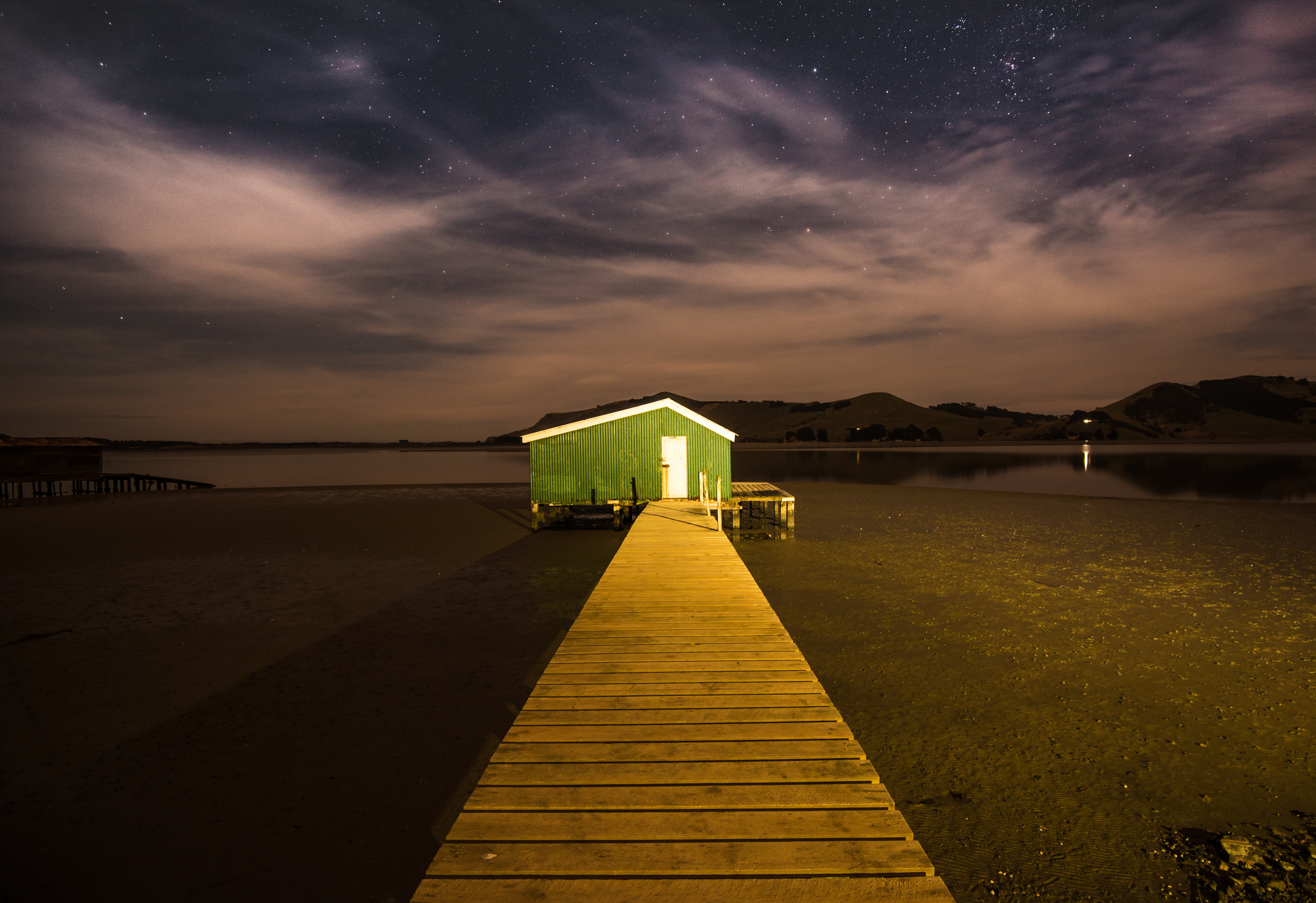 Dunedin-1393
