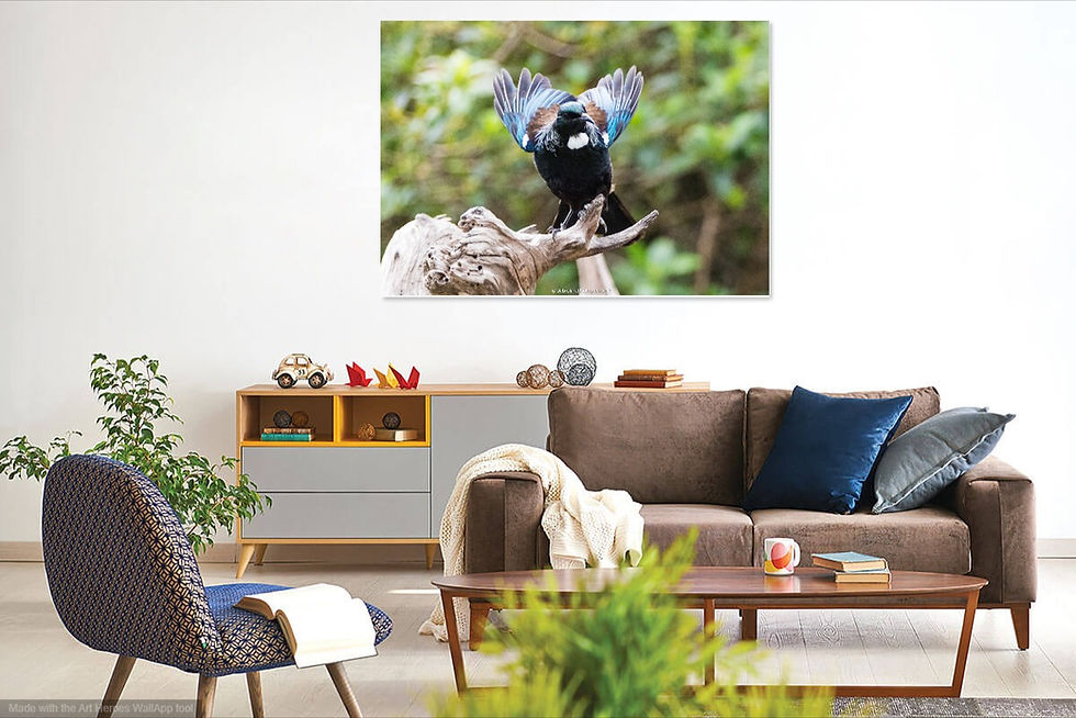 Thumbnail: Native bird Tiritirimatangi