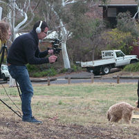 Community awareness campaign that generated national media attention and protected local wildlife.