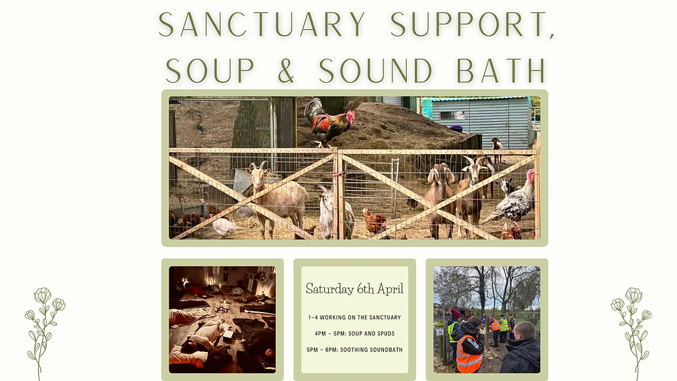 Sanctuary support, soup and soundbath