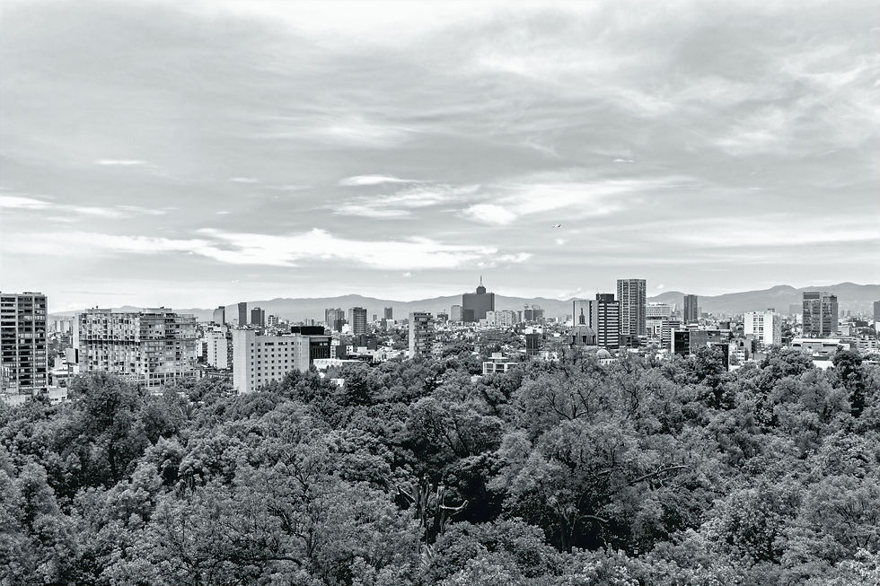 View from the Park_edited.jpg