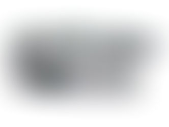 Why possum traps are not needed. Why Possum Exits are the most effective means of possum removal.