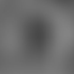 Old Wives’ Tales About Removing Possums from Roofs