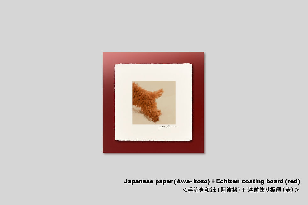 サムネイル： 手漉き和紙,写真,犬,仔犬,ペット,トイプードル,尻尾,インテリアフォト,かわいい,アートフレーム,正方形,和室,壁掛け,壁飾り,装飾,オリジナルプリント,フォトフレーム,プレゼント