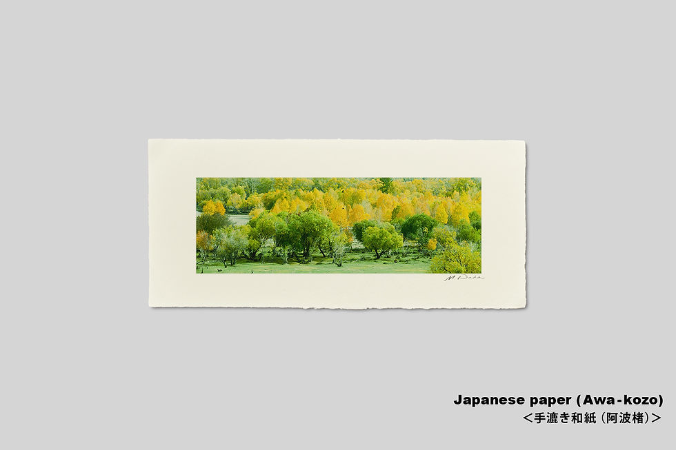 サムネイル： 手漉き和紙,写真,和室,モンゴル,風景,森,木,インテリアフォト,アート,装飾,横長,オリジナルプリント,おしゃれ,モダン,壁掛け,壁飾り,額装,部屋飾り,アートポスター,フォトフレーム,プレゼント