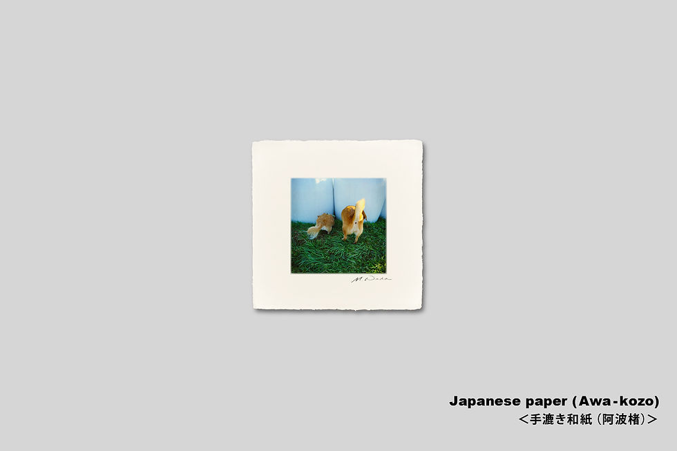 サムネイル： 手漉き和紙,写真,犬,仔犬,ペット,インテリアフォト,かわいい,アート,壁掛け,壁飾り,正方形,額装,和室,装飾,オリジナルプリント,フォトフレーム,プレゼント