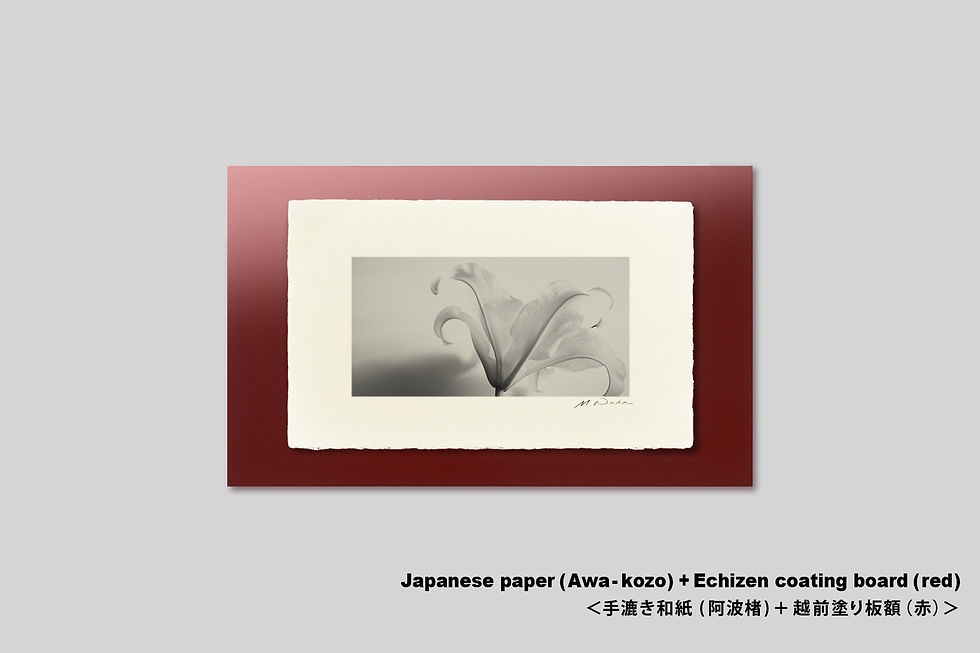 サムネイル： 手漉き和紙,インテリアフォト,和紙,写真,花,フラワー,モダン,インテリアアート,アート,額装,オリジナルプリント,アートポスター,アートフレーム,おしゃれ,壁掛け,壁飾り,装飾