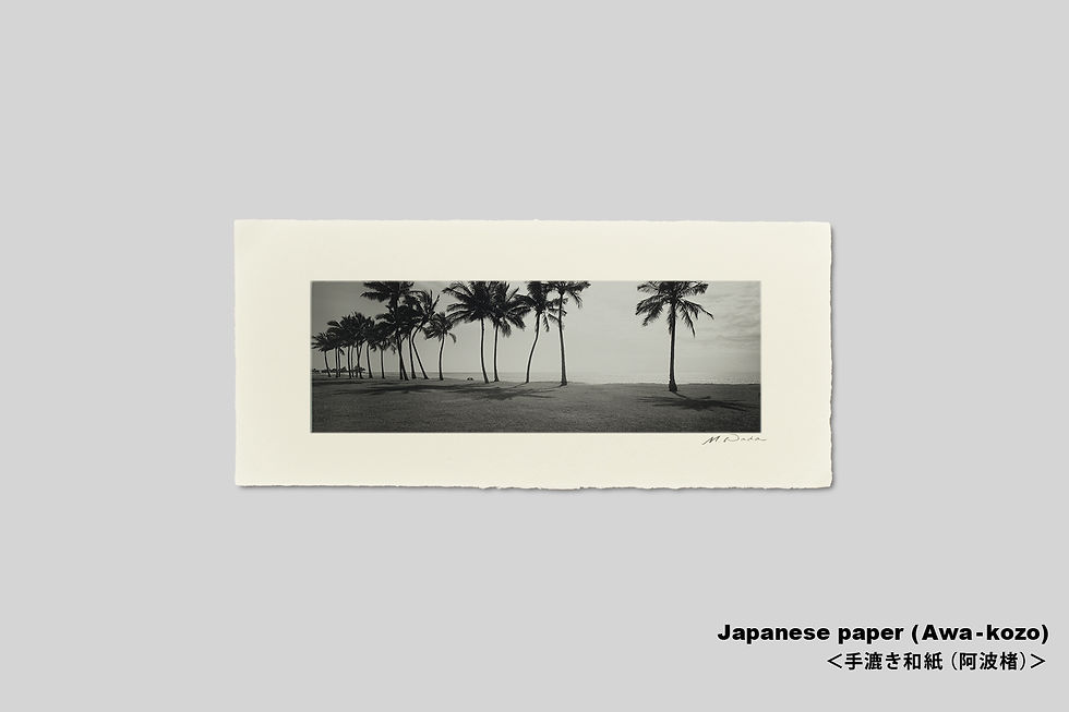 サムネイル： 手漉き和紙,ハワイ,写真,風景,ヤシの木,インテリアフォト,ビーチ,新築祝い,プレゼント,おしゃれ,アートフォト,ギフト,和モダン,壁掛け,額装,アートポスター,アートフォト,ギフト,和モダン