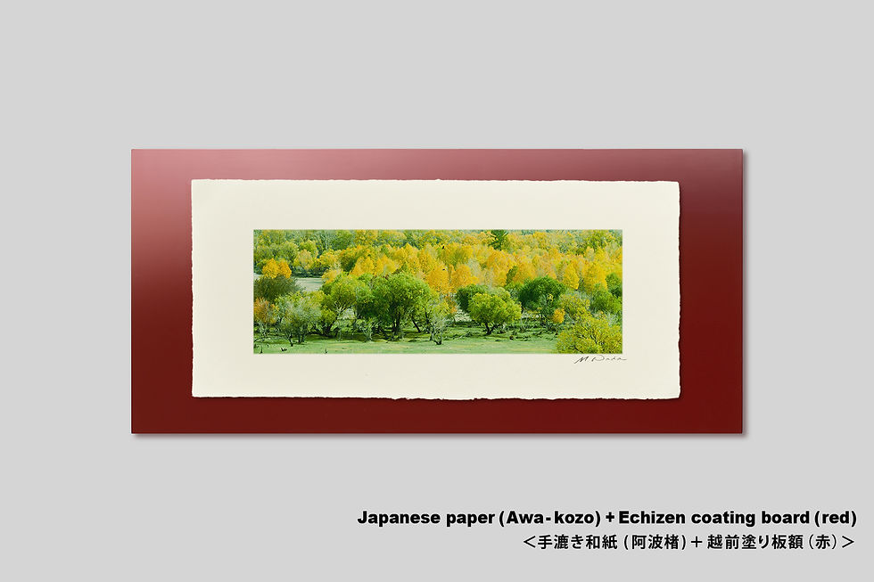 サムネイル： 手漉き和紙,写真,和室,モンゴル,風景,森,木,インテリアフォト,アート,装飾,横長,オリジナルプリント,おしゃれ,モダン,壁掛け,壁飾り,額装,部屋飾り,アートポスター,フォトフレーム,プレゼント