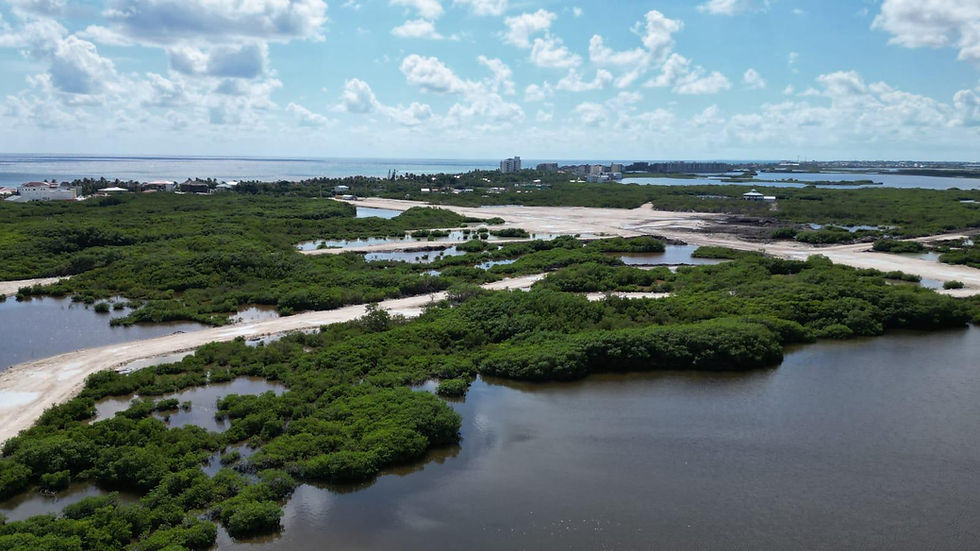 WhatsApp Image 2026-01-16 at 14.53.30 (2).jpeg