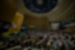 724114_edited.jpg