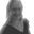 Writer: Vanessa Evetts