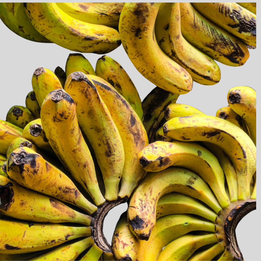 Plantain Per Dozen Bunches