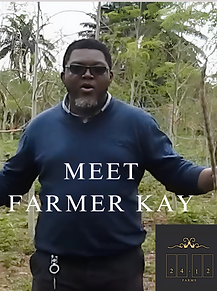 Screenshot 2025-03-19 at 20.13.24.png