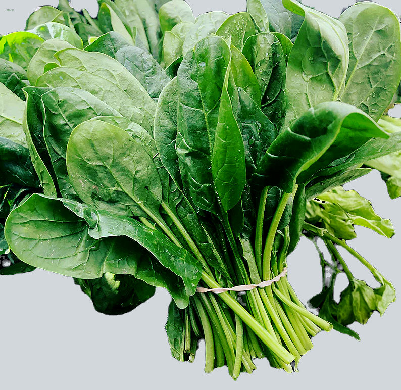 Spinach