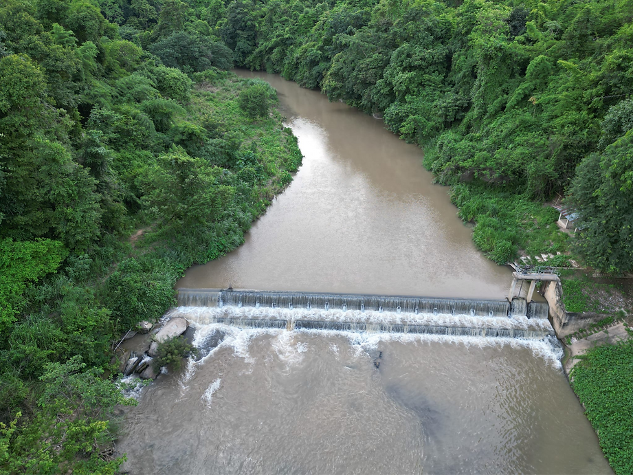 מה וואנג 3_edited_edited.png