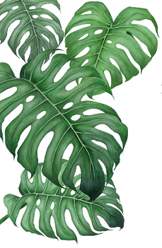 pngegg (2).png
