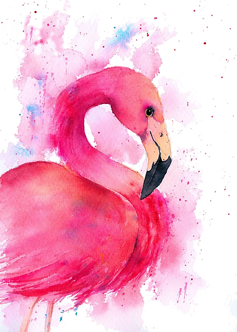 Flamingo1.png