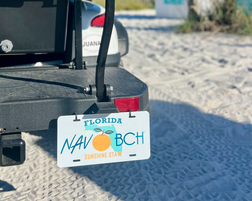 Thumbnail: NAV BCH® | License Plate