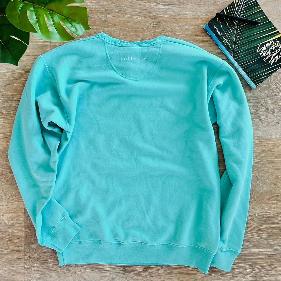 Thumbnail: Simple back view of NAV BCH Crewneck Sweatshirt in Seafoam color
